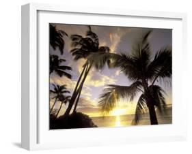 Sunset and Palm Tree, Kihei Beach, Maui, Hawaii, USA-Darrell Gulin-Framed Premium Photographic Print