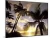 Sunset and Palm Tree, Kihei Beach, Maui, Hawaii, USA-Darrell Gulin-Mounted Premium Photographic Print