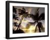 Sunset and Palm Tree, Kihei Beach, Maui, Hawaii, USA-Darrell Gulin-Framed Photographic Print