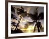 Sunset and Palm Tree, Kihei Beach, Maui, Hawaii, USA-Darrell Gulin-Framed Photographic Print