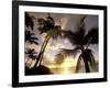 Sunset and Palm Tree, Kihei Beach, Maui, Hawaii, USA-Darrell Gulin-Framed Photographic Print