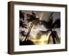 Sunset and Palm Tree, Kihei Beach, Maui, Hawaii, USA-Darrell Gulin-Framed Photographic Print