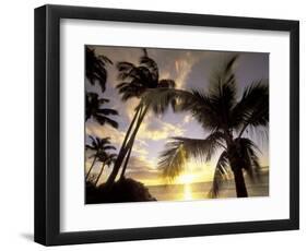 Sunset and Palm Tree, Kihei Beach, Maui, Hawaii, USA-Darrell Gulin-Framed Photographic Print