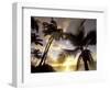 Sunset and Palm Tree, Kihei Beach, Maui, Hawaii, USA-Darrell Gulin-Framed Photographic Print