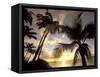 Sunset and Palm Tree, Kihei Beach, Maui, Hawaii, USA-Darrell Gulin-Framed Stretched Canvas