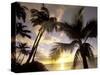 Sunset and Palm Tree, Kihei Beach, Maui, Hawaii, USA-Darrell Gulin-Stretched Canvas