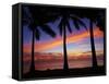 Sunset and Palm Trees, Coral Coast, Viti Levu, Fiji, South Pacific-David Wall-Framed Stretched Canvas