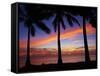 Sunset and Palm Trees, Coral Coast, Viti Levu, Fiji, South Pacific-David Wall-Framed Stretched Canvas