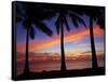 Sunset and Palm Trees, Coral Coast, Viti Levu, Fiji, South Pacific-David Wall-Framed Stretched Canvas