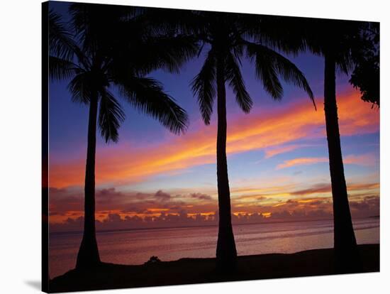 Sunset and Palm Trees, Coral Coast, Viti Levu, Fiji, South Pacific-David Wall-Stretched Canvas