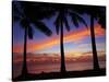 Sunset and Palm Trees, Coral Coast, Viti Levu, Fiji, South Pacific-David Wall-Stretched Canvas