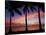 Sunset and Palm Trees, Coral Coast, Viti Levu, Fiji, South Pacific-David Wall-Stretched Canvas