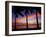 Sunset and Palm Trees, Coral Coast, Viti Levu, Fiji, South Pacific-David Wall-Framed Premium Photographic Print