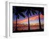 Sunset and Palm Trees, Coral Coast, Viti Levu, Fiji, South Pacific-David Wall-Framed Premium Photographic Print