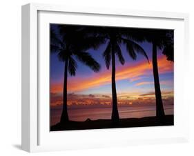 Sunset and Palm Trees, Coral Coast, Viti Levu, Fiji, South Pacific-David Wall-Framed Premium Photographic Print