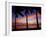 Sunset and Palm Trees, Coral Coast, Viti Levu, Fiji, South Pacific-David Wall-Framed Premium Photographic Print