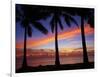 Sunset and Palm Trees, Coral Coast, Viti Levu, Fiji, South Pacific-David Wall-Framed Photographic Print