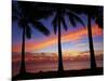 Sunset and Palm Trees, Coral Coast, Viti Levu, Fiji, South Pacific-David Wall-Mounted Photographic Print
