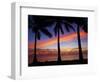 Sunset and Palm Trees, Coral Coast, Viti Levu, Fiji, South Pacific-David Wall-Framed Photographic Print