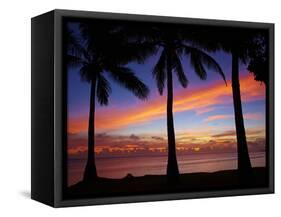 Sunset and Palm Trees, Coral Coast, Viti Levu, Fiji, South Pacific-David Wall-Framed Stretched Canvas