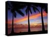 Sunset and Palm Trees, Coral Coast, Viti Levu, Fiji, South Pacific-David Wall-Stretched Canvas