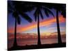 Sunset and Palm Trees, Coral Coast, Viti Levu, Fiji, South Pacific-David Wall-Stretched Canvas