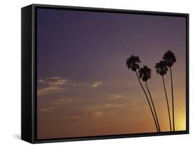 Sunset and Palm Trees, Laguna Beach, CA-Mitch Diamond-Framed Stretched Canvas
