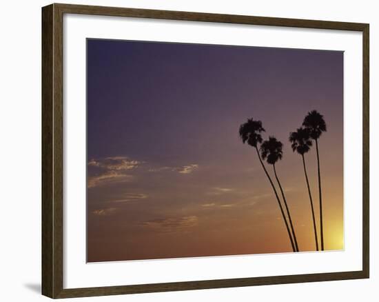 Sunset and Palm Trees, Laguna Beach, CA-Mitch Diamond-Framed Photographic Print