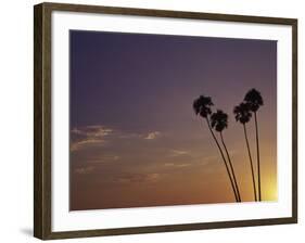 Sunset and Palm Trees, Laguna Beach, CA-Mitch Diamond-Framed Photographic Print