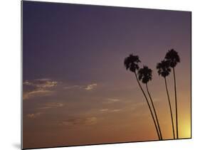 Sunset and Palm Trees, Laguna Beach, CA-Mitch Diamond-Mounted Photographic Print