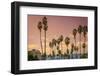 Sunset and Palm Trees on the Beach against the Soft Pink Tropical Sky-Sanghwan Kim-Framed Photographic Print