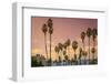 Sunset and Palm Trees on the Beach against the Soft Pink Tropical Sky-Sanghwan Kim-Framed Photographic Print