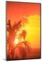 Sunset and palm trees, Wailea, Maui, Hawaii.-Stuart Westmorland-Mounted Photographic Print