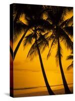 Sunset and Palms, San Juan, Puerto Rico-Bill Bachmann-Stretched Canvas