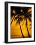 Sunset and Palms, San Juan, Puerto Rico-Bill Bachmann-Framed Photographic Print