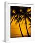 Sunset and Palms, San Juan, Puerto Rico-Bill Bachmann-Framed Photographic Print