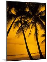 Sunset and Palms, San Juan, Puerto Rico-Bill Bachmann-Mounted Photographic Print