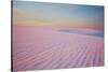 Sunset and Patterns in Snow Covered Wheat Fields-Terry Eggers-Stretched Canvas