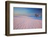 Sunset and Patterns in Snow Covered Wheat Fields-Terry Eggers-Framed Photographic Print