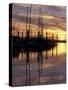 Sunset and Sailboat Masts at Public Marina, Bellingham, Washington, USA-Merrill Images-Stretched Canvas