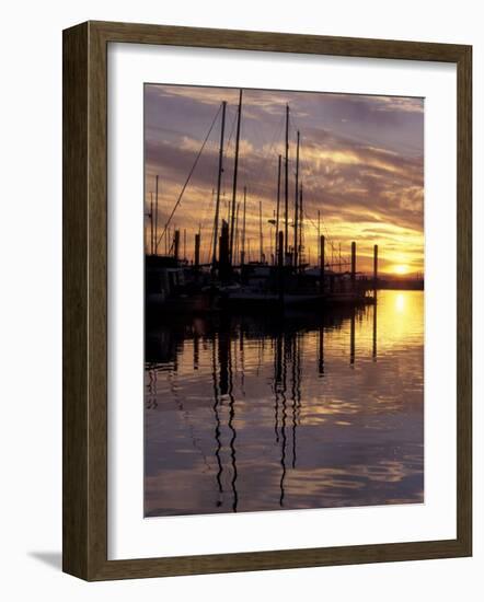 Sunset and Sailboat Masts at Public Marina, Bellingham, Washington, USA-Merrill Images-Framed Photographic Print