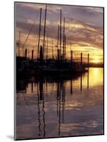 Sunset and Sailboat Masts at Public Marina, Bellingham, Washington, USA-Merrill Images-Mounted Photographic Print