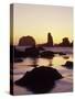 Sunset and Seastacks, Bandon Beach, Oregon, USA-Darrell Gulin-Stretched Canvas