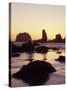 Sunset and Seastacks, Bandon Beach, Oregon, USA-Darrell Gulin-Stretched Canvas