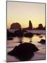 Sunset and Seastacks, Bandon Beach, Oregon, USA-Darrell Gulin-Mounted Photographic Print