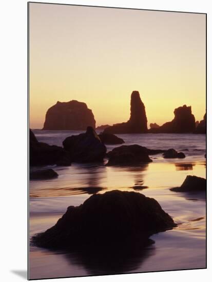 Sunset and Seastacks, Bandon Beach, Oregon, USA-Darrell Gulin-Mounted Photographic Print