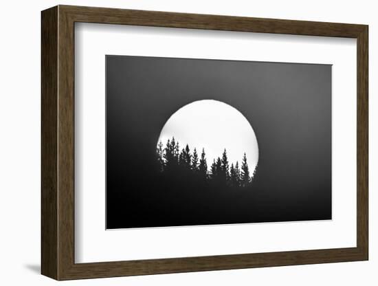 Sunset and shilhouetted treed, Wyoming, USA-Art Wolfe Wolfe-Framed Photographic Print