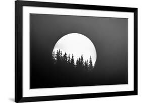 Sunset and shilhouetted treed, Wyoming, USA-Art Wolfe Wolfe-Framed Photographic Print