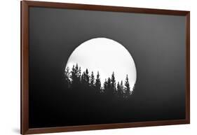 Sunset and shilhouetted treed, Wyoming, USA-Art Wolfe Wolfe-Framed Photographic Print