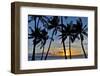 Sunset and silhouetted palm trees, Kihei, Maui, Hawaii-Darrell Gulin-Framed Photographic Print